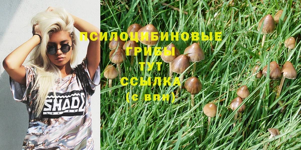молекула духа Богородск