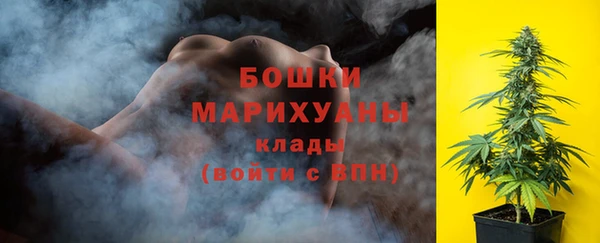 дурь Богородицк