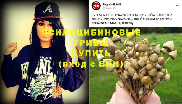 гашик Беломорск
