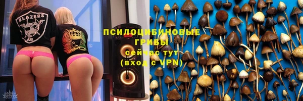 молекула духа Богородск
