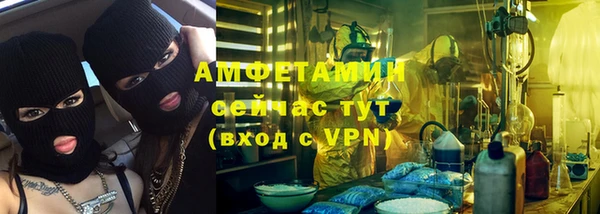 молекула духа Богородск