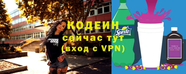 дурь Богородицк