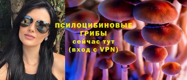 молекула духа Богородск