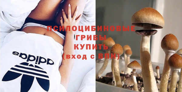 метамфетамин Богданович
