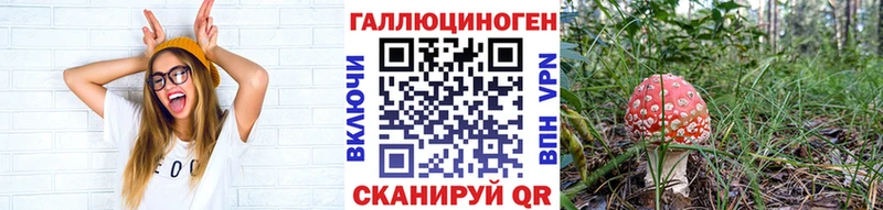Псилоцибиновые грибы Psilocybe  Пермь 
